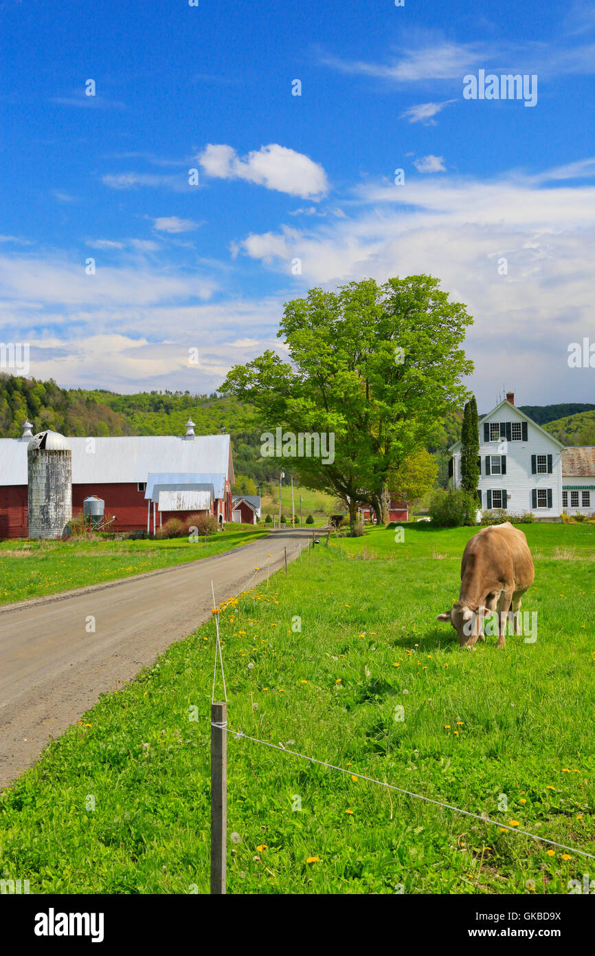 Vermont barn hi-res stock photography and images - Alamy