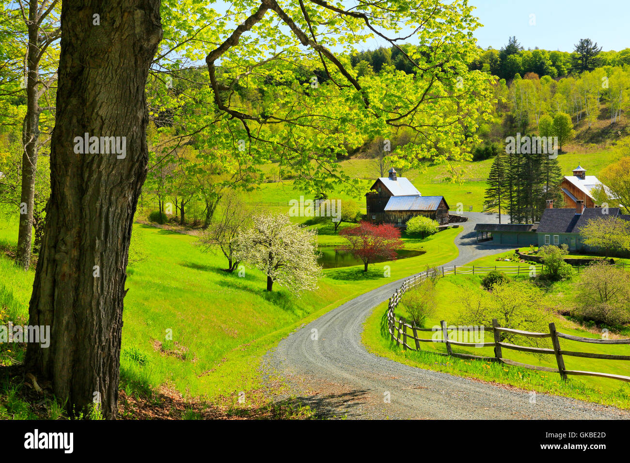 Farm on Pomfret Road, Woodstock, Vermont, USA Stock Photo Alamy