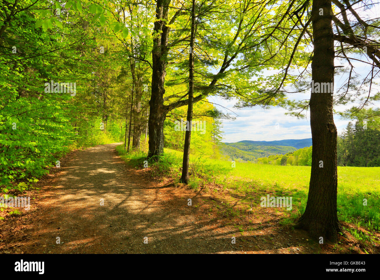 Mount Tom Road, MarshBillingsRockefeller National Historical Park