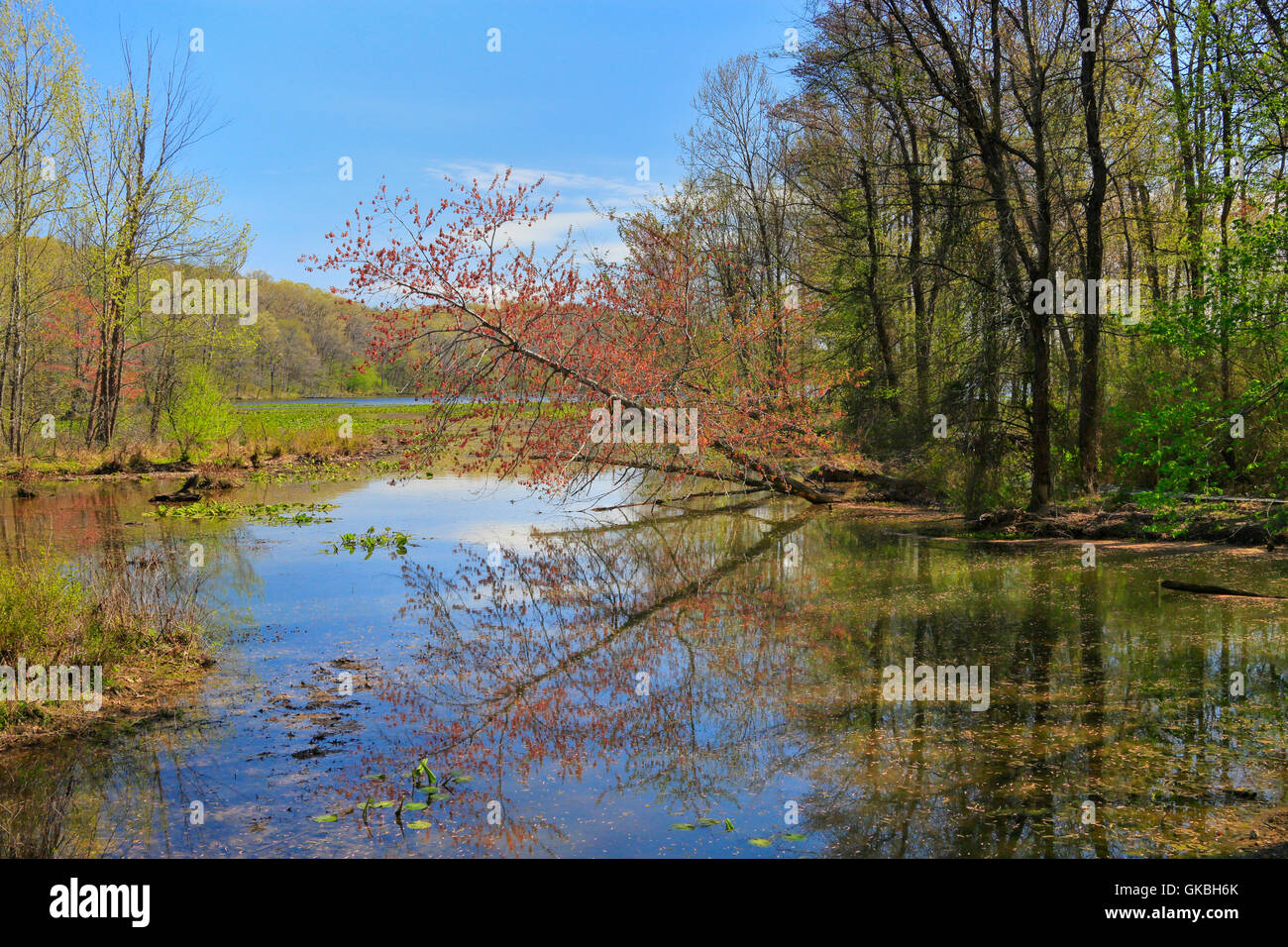 Hematite Lake Seen From Hematite Trail, Nature Station, Land Between