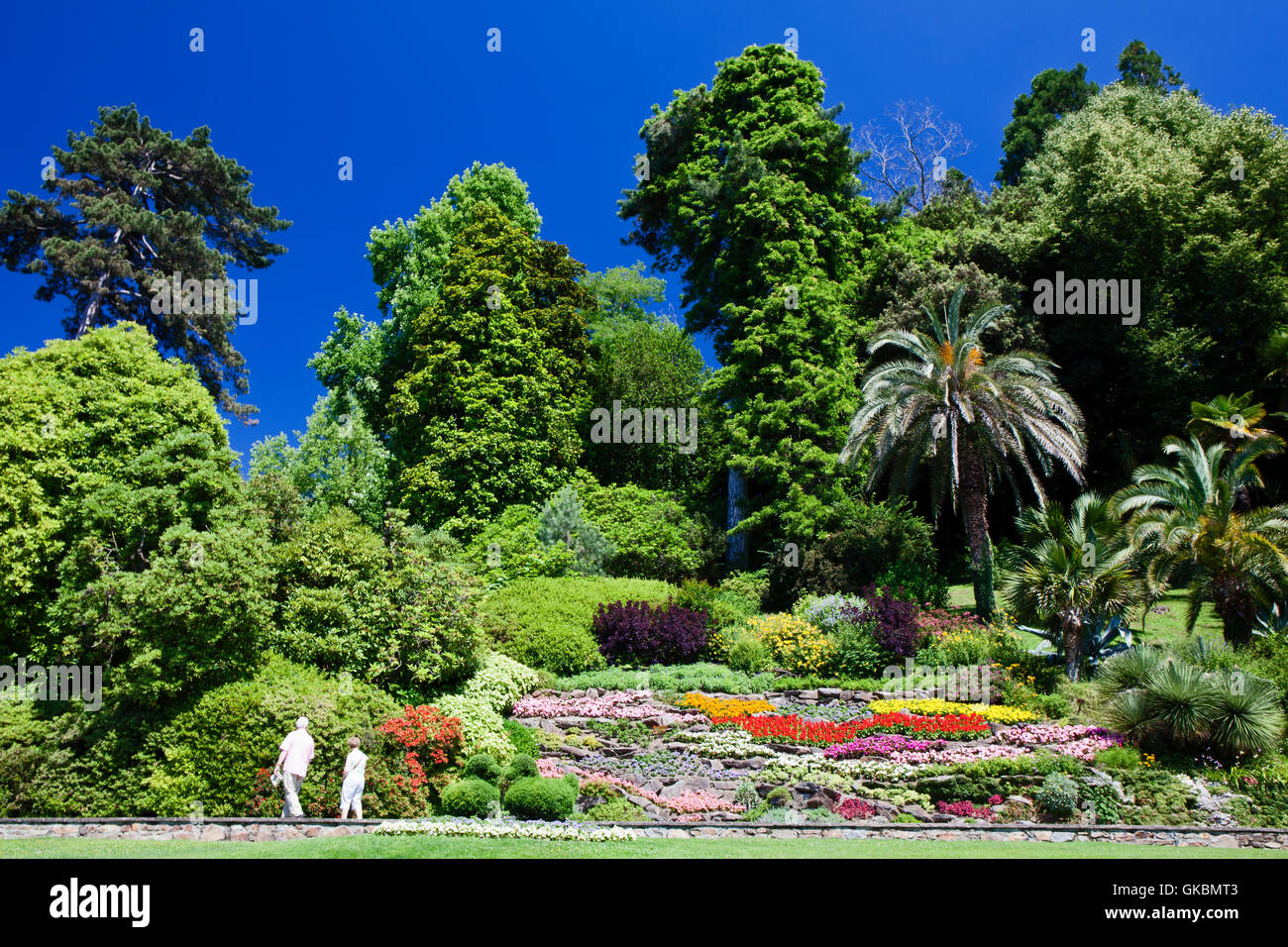 Villa Carlotta gardens on Lake Como, Italy, in spectacular summer colour. Stock Photo