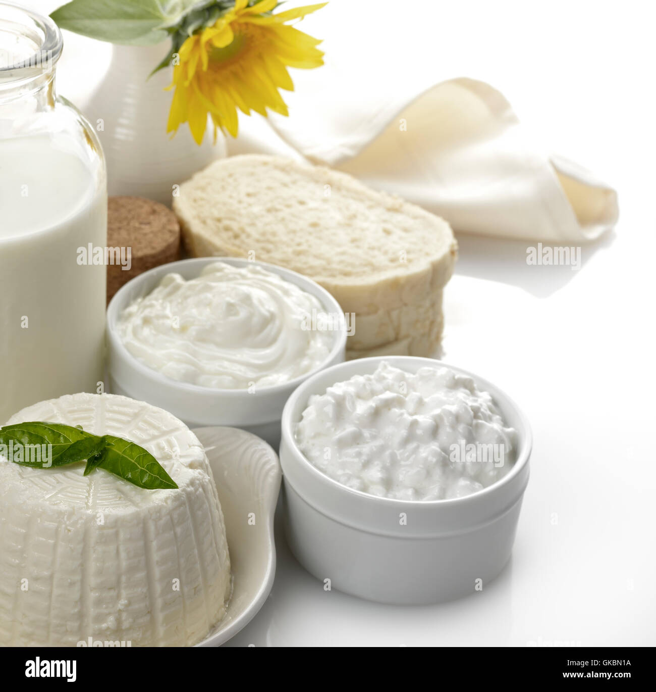 milk cheese dairy Stock Photo
