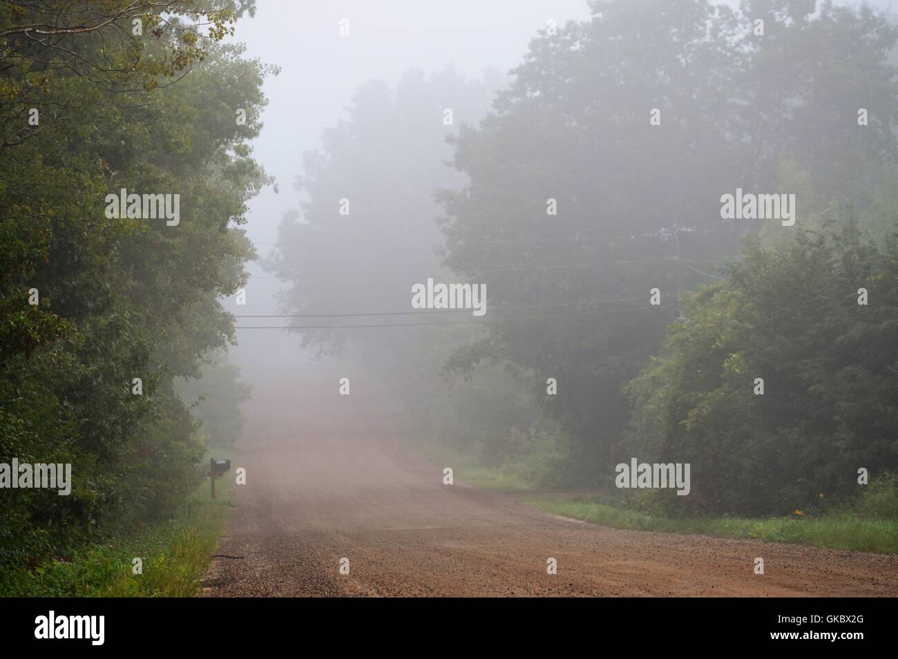 Country Road in the Morning Fog Stock Photo - Alamy