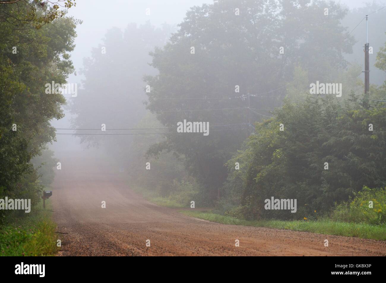Country Road in the Morning Fog Stock Photo - Alamy