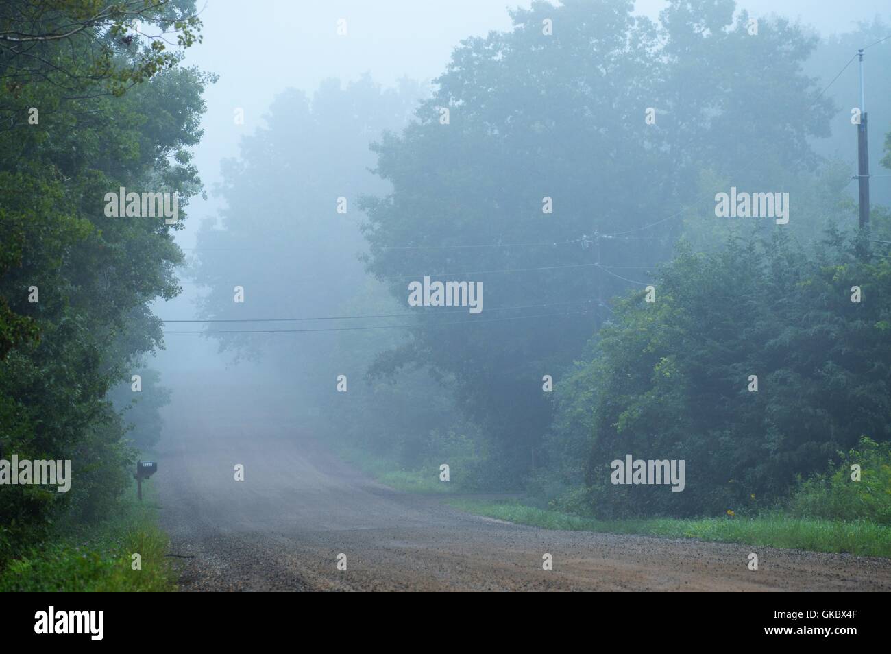 Country Road in the Morning Fog Stock Photo - Alamy