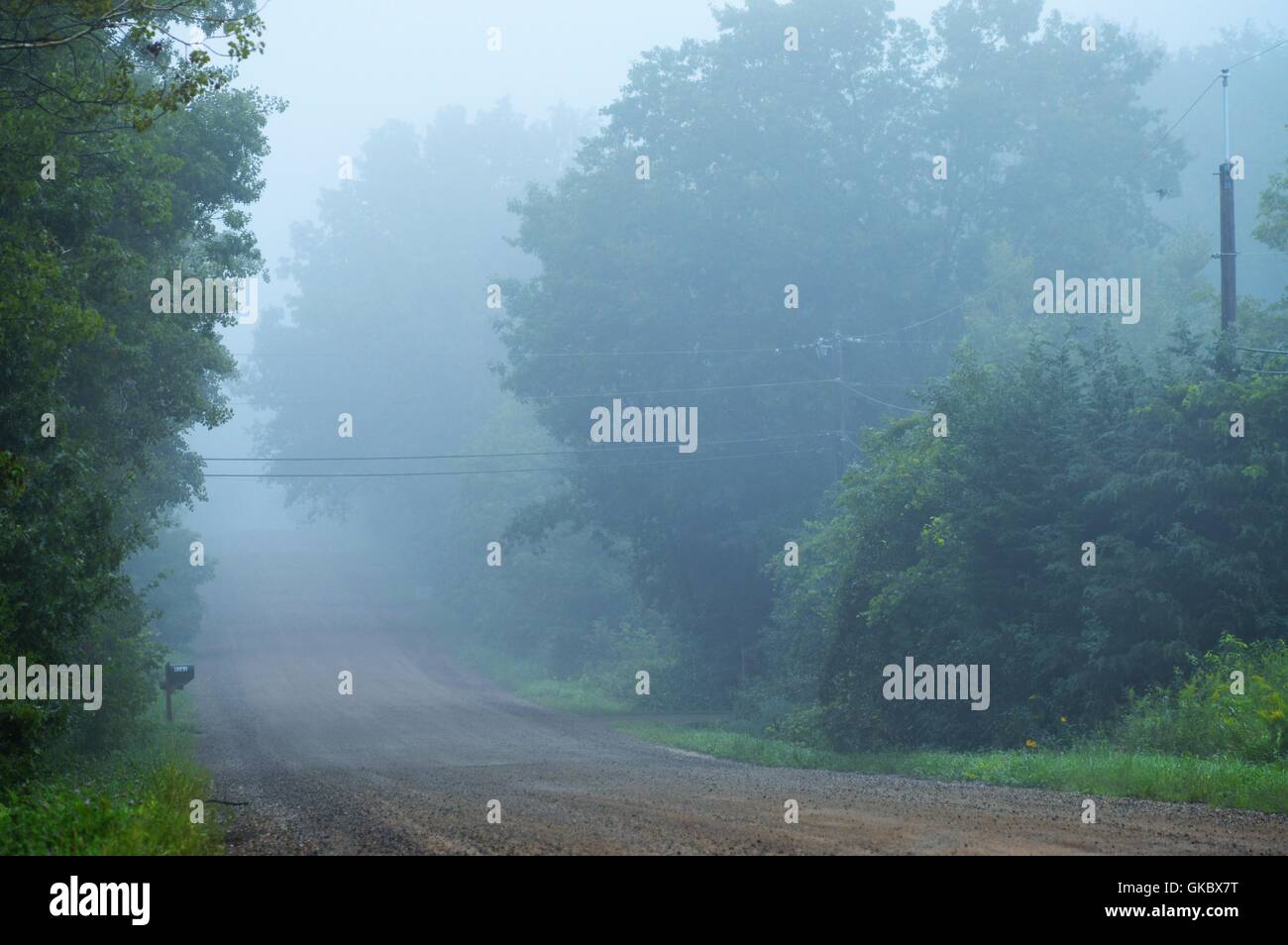 Country Road in the Morning Fog Stock Photo - Alamy