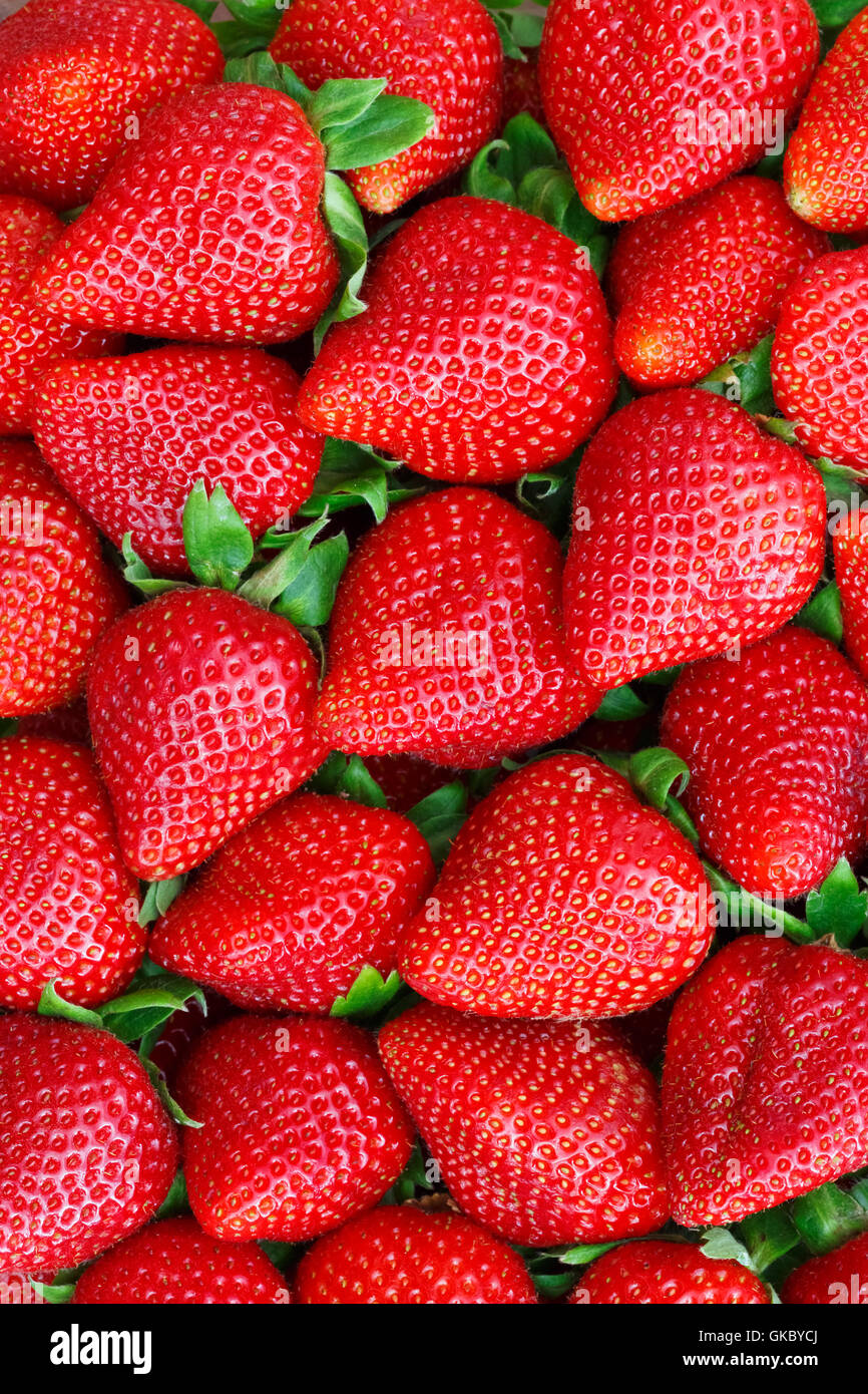 fruit strawberry berry Stock Photo
