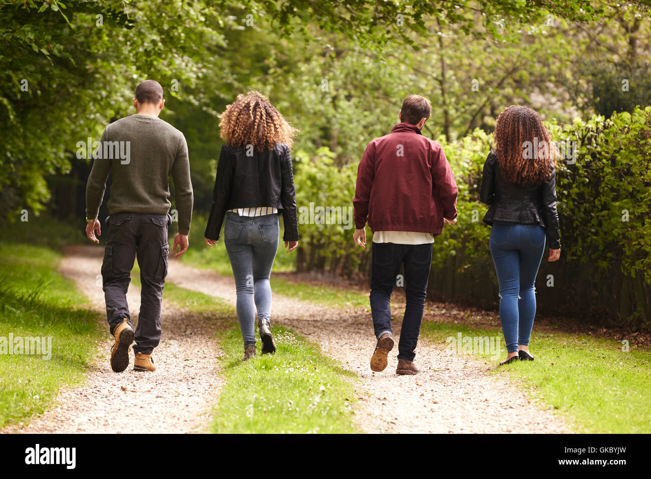 Four adult friends walking down a country lane, back view Stock Photo