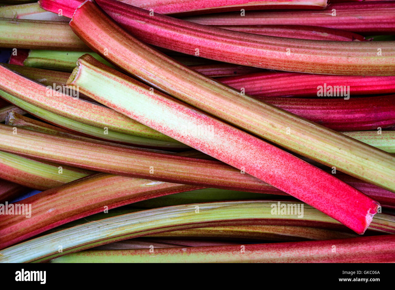 Rhubarb, close-up Stock Photo
