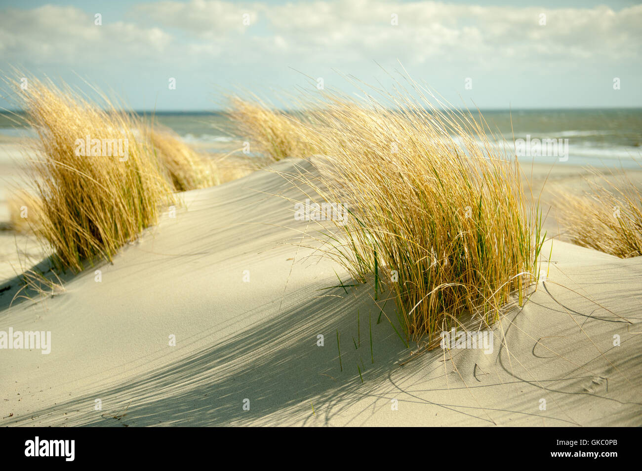 dune borkum Stock Photo