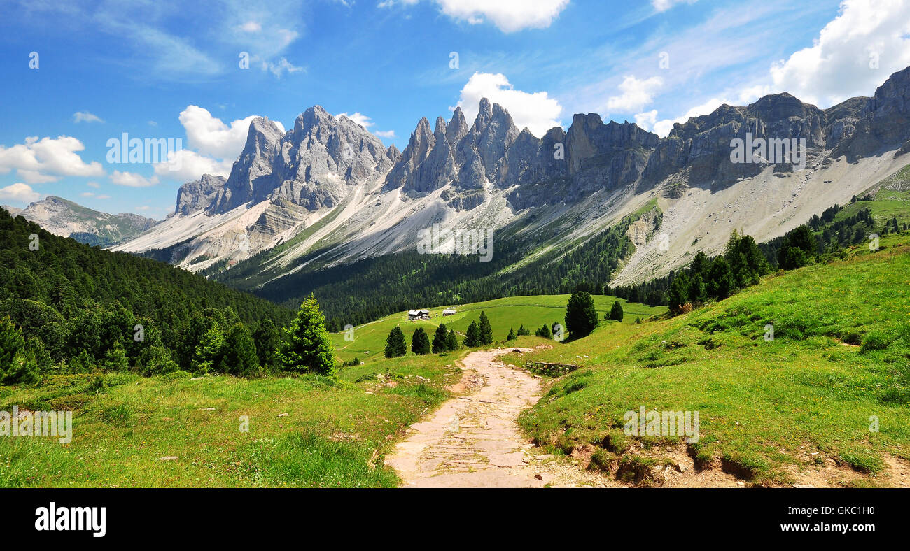 Winding path in italian Alps. Selvio mountain range, Trentino Alto Adidge Stock Photo