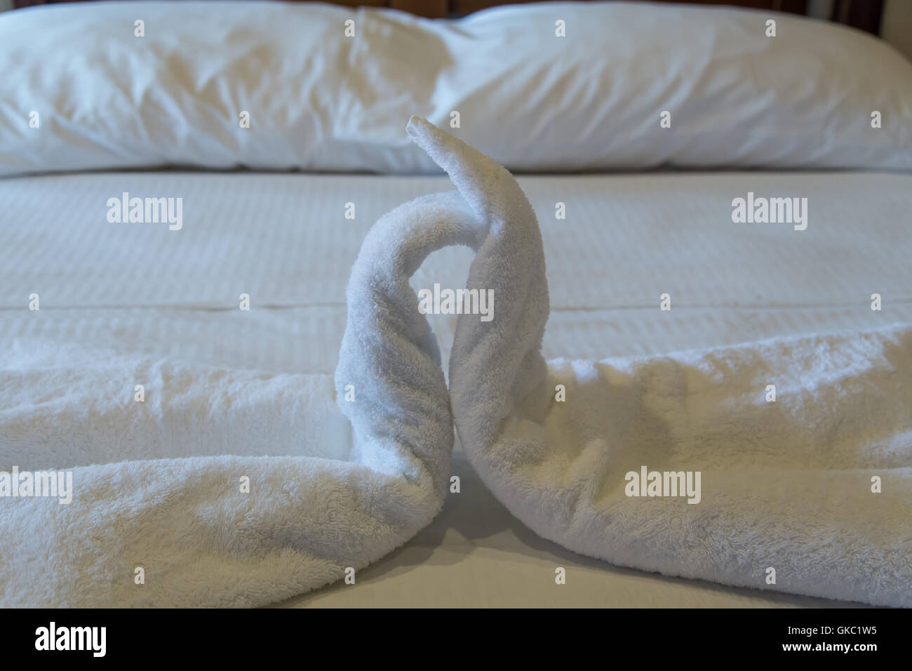 white towels on bed from hotel room Stock Photo Alamy