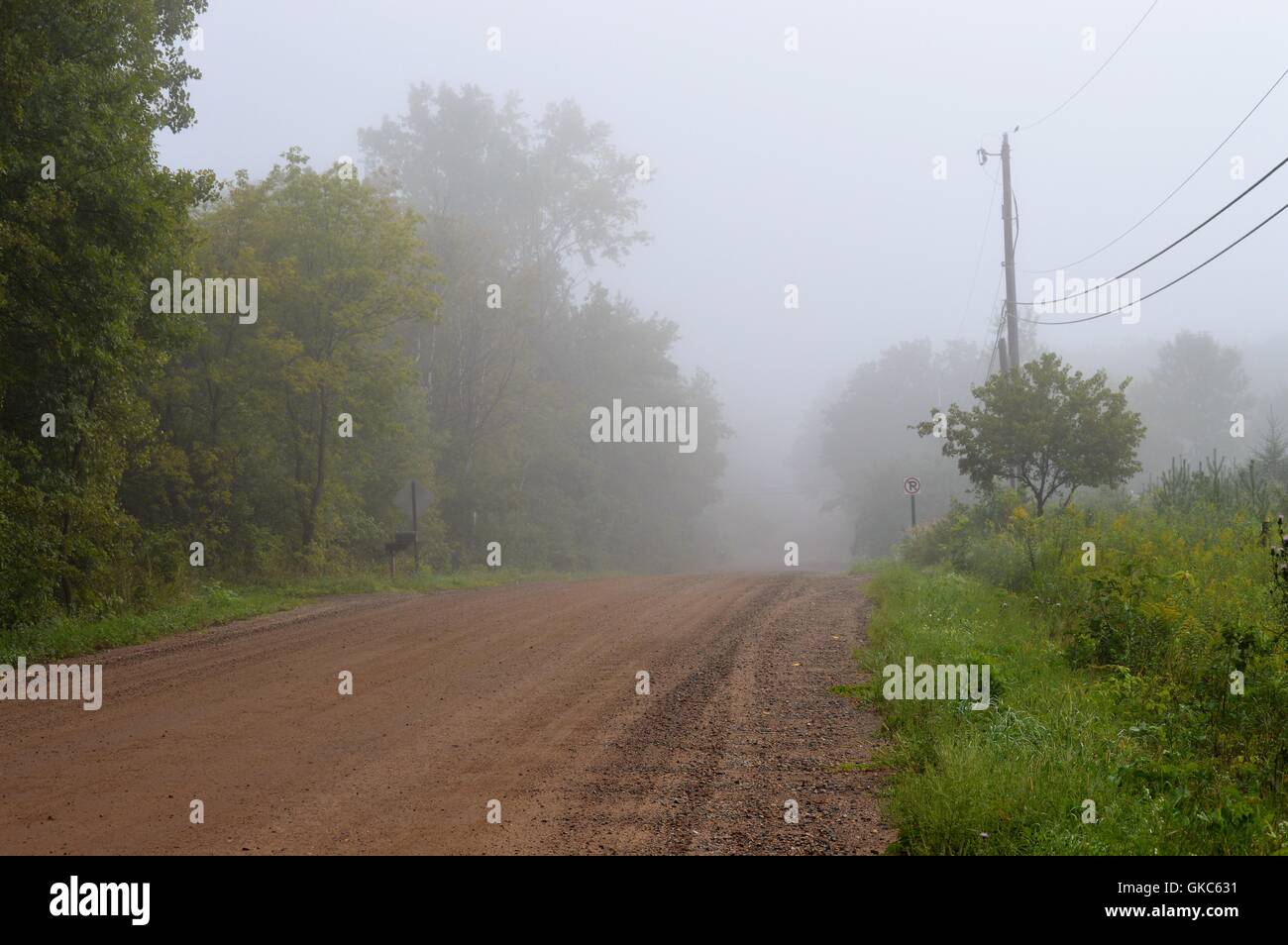 Country Road in the Morning Fog Stock Photo - Alamy