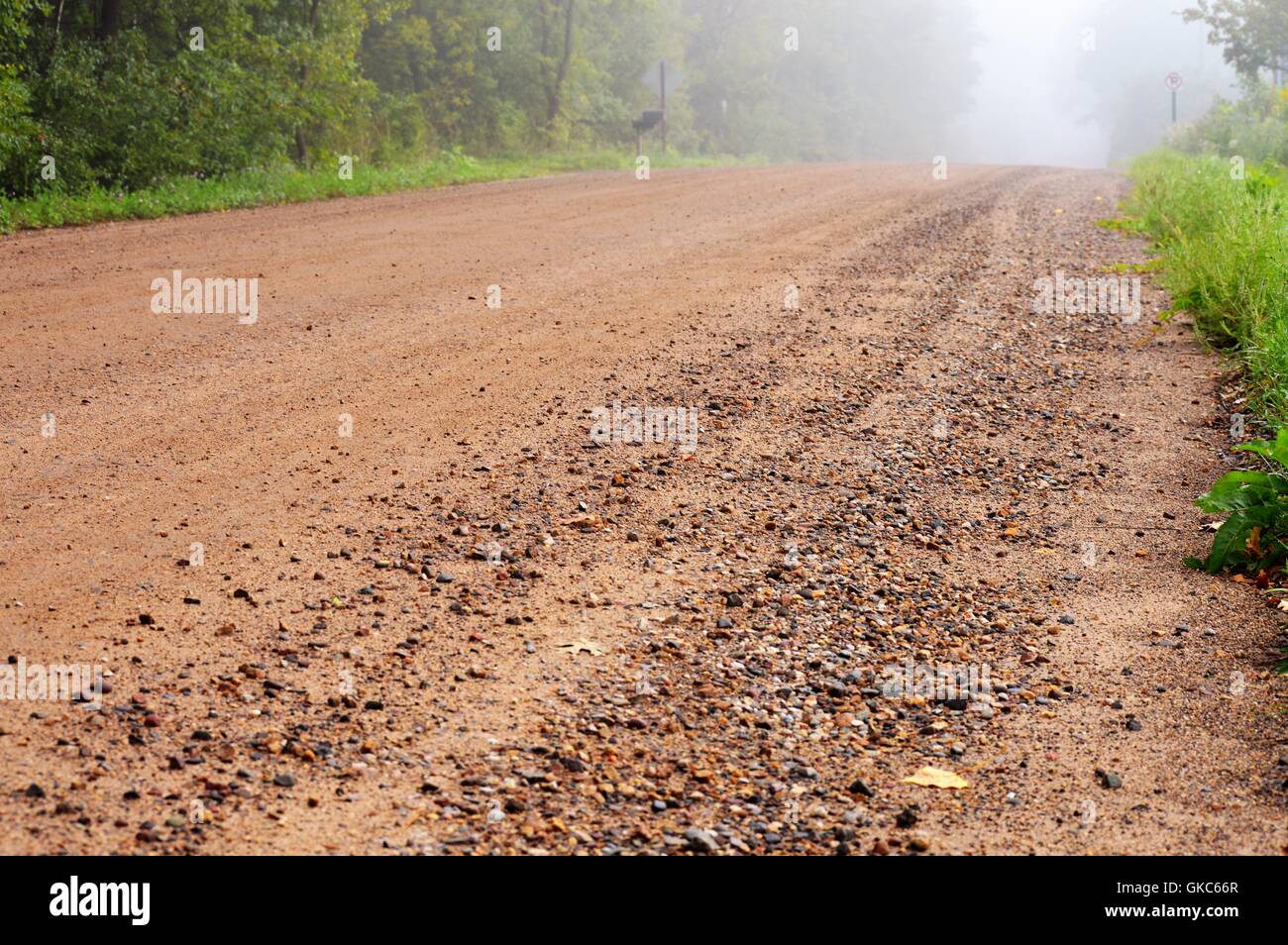 Country Road in the Morning Fog Stock Photo - Alamy