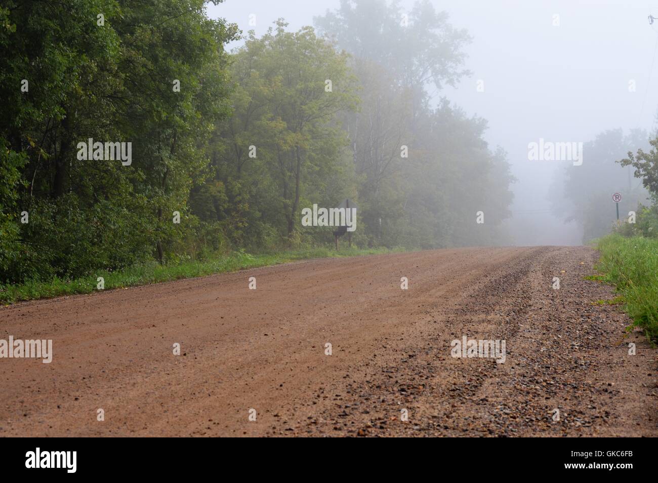 Country Road in the Morning Fog Stock Photo - Alamy