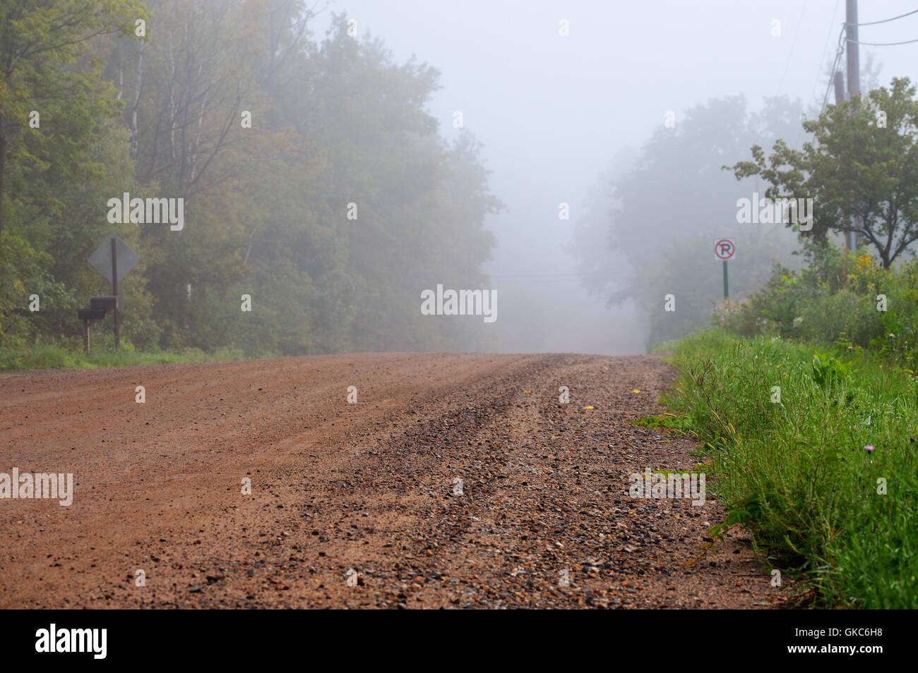 Country Road in the Morning Fog Stock Photo - Alamy