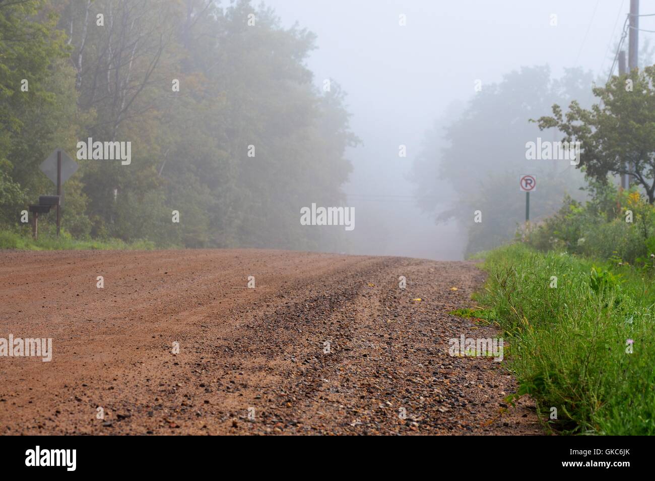 Country Road in the Morning Fog Stock Photo - Alamy