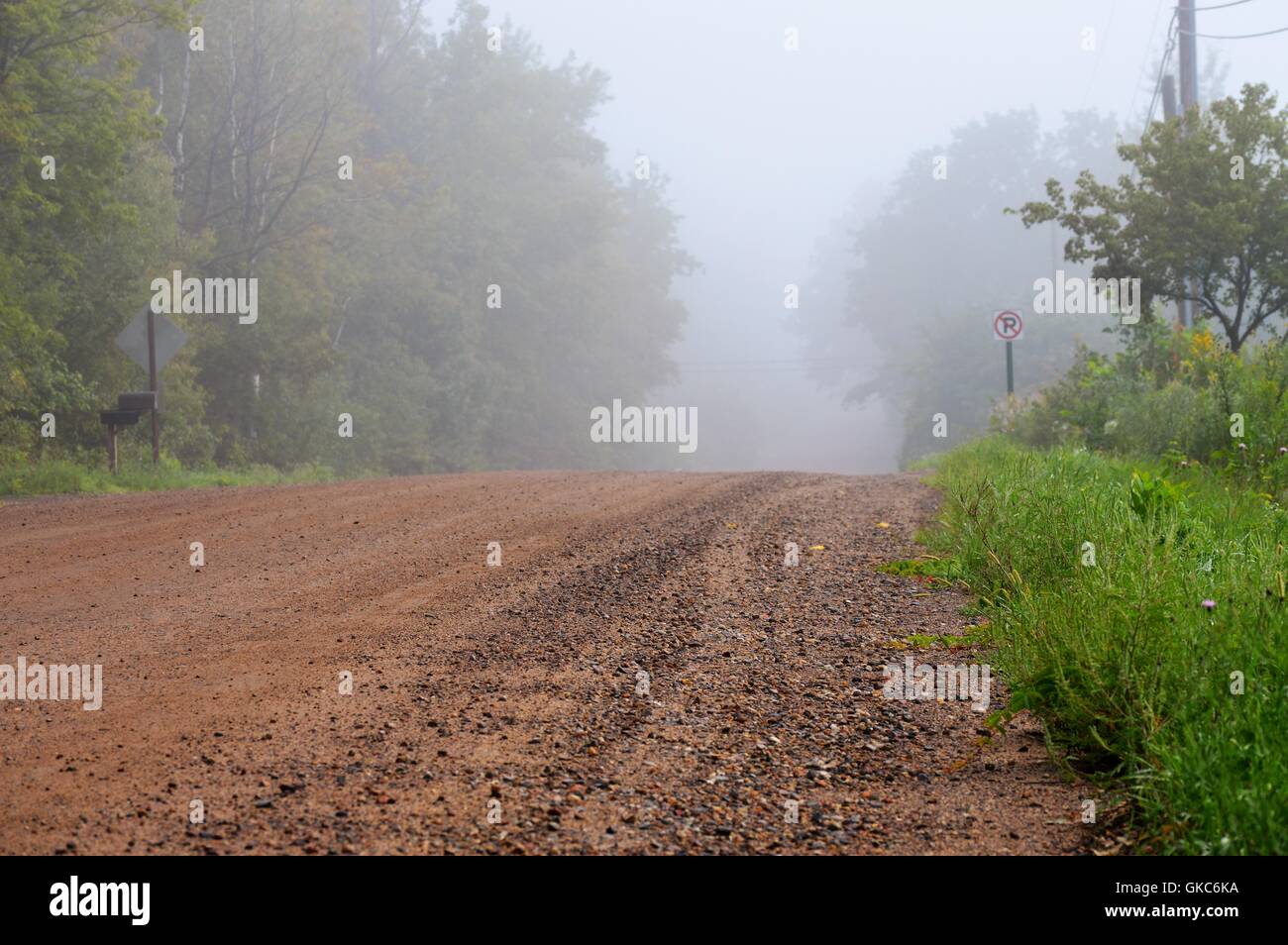 Country Road in the Morning Fog Stock Photo - Alamy