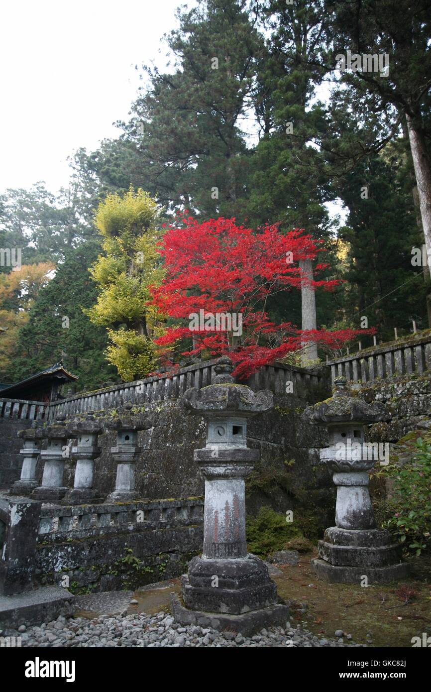 Red, orange, yellow and green leaf trees on the grounds of Taiyuuin-byou. Autumn season in Nikko, Japan. Stone lanterns Stock Photo
