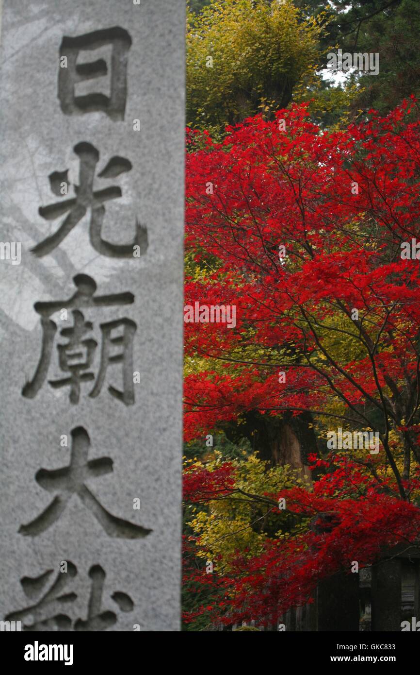 Red and green leaves on the grounds of Taiyuuin-byou. Autumn season in Nikko, polished stone marker with the temple name kanji Stock Photo