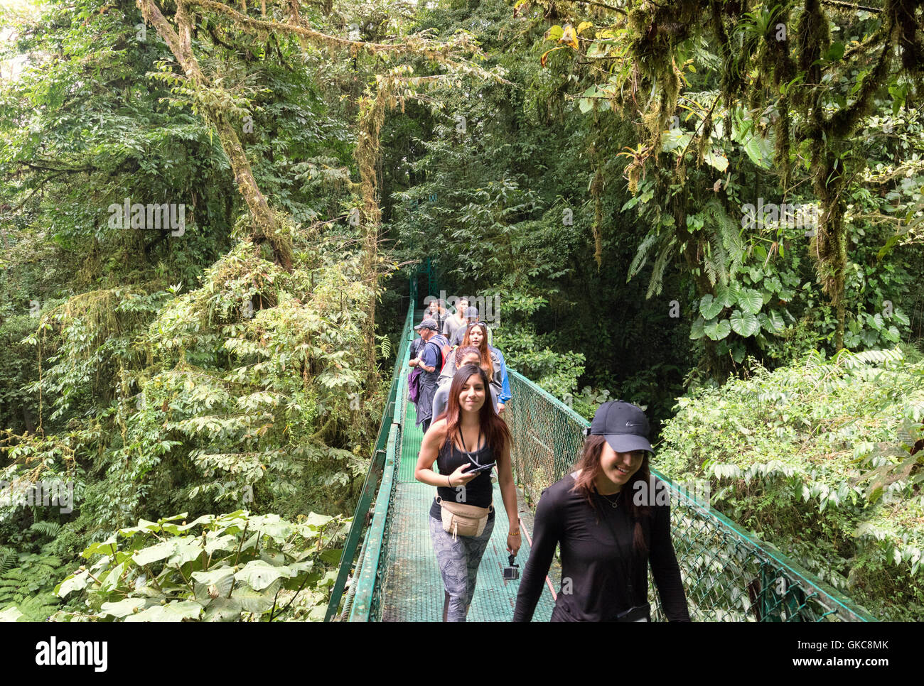 People on the Canopy bridges walk, Monteverde Cloud Forest reserve, Costa Rica Central America Stock Photo