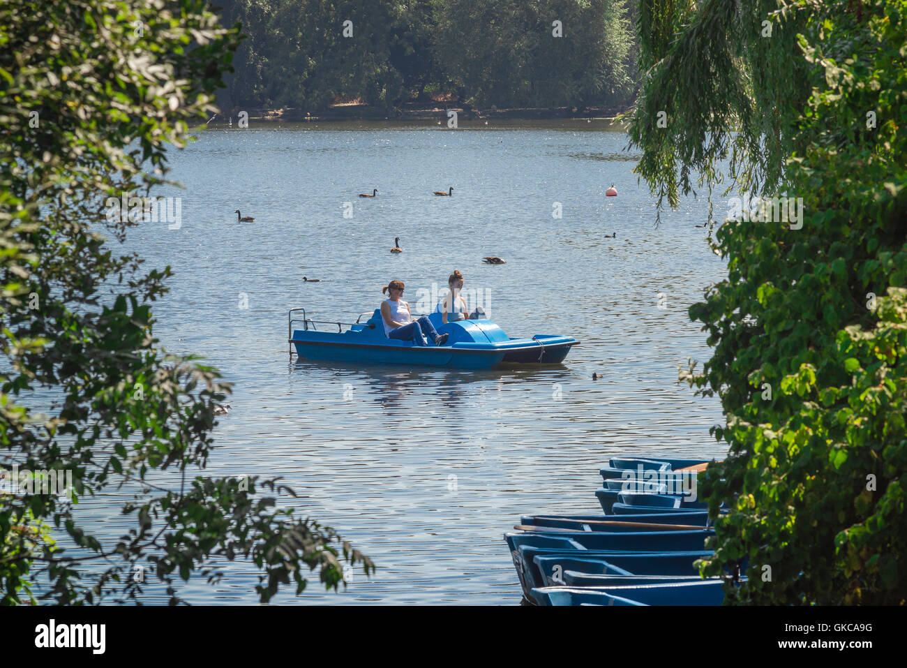 Women boat boating, view of female tourists in a boat enjoying a summer afternoon on the boating lake in Regent's Park, UK. Stock Photo