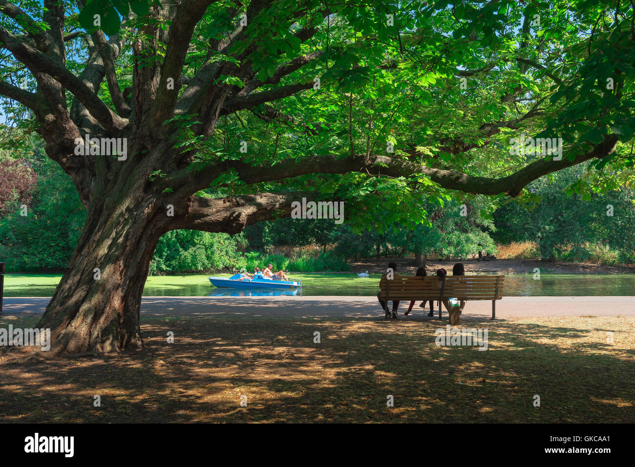 London summer park, rear view of tourists sitting on a bench watching people take a pedalo ride on the boating lake in Regent's Park, London, UK. Stock Photo