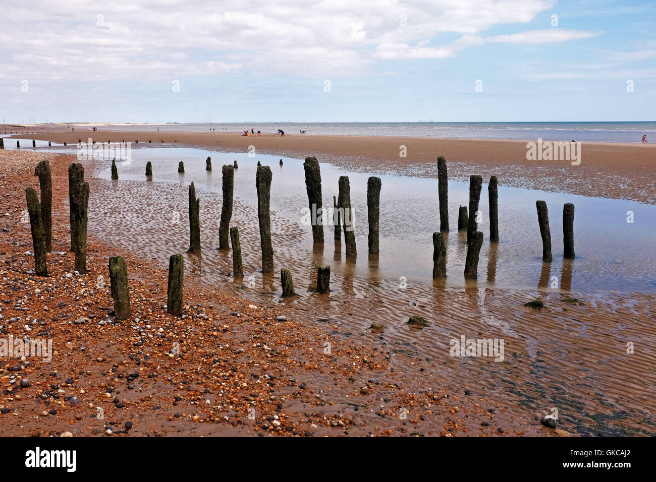 Winchelsea Beach near Rye and Hastings East Sussex UK with old sea defences Stock Photo