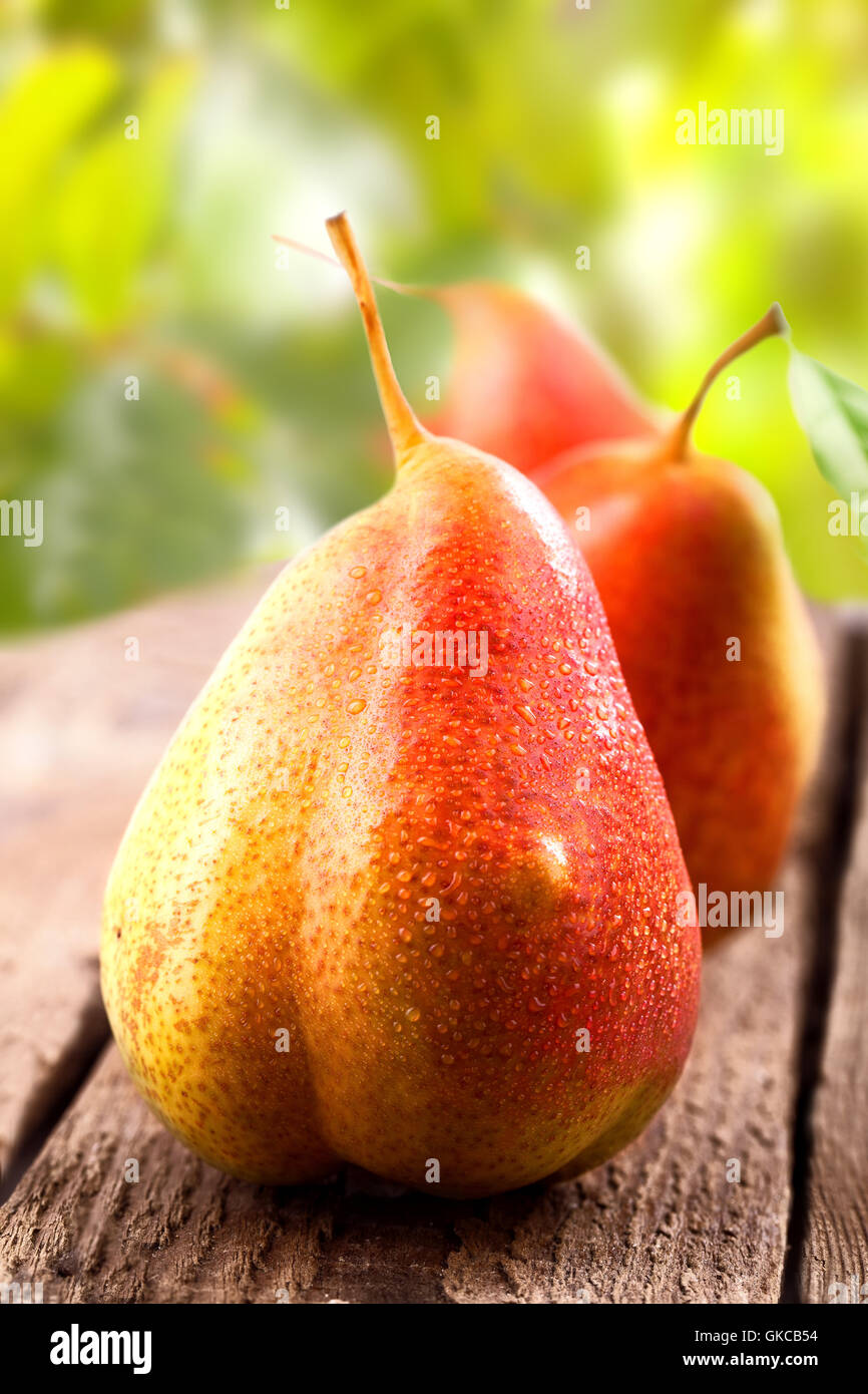 ripe pears in the garden Stock Photo
