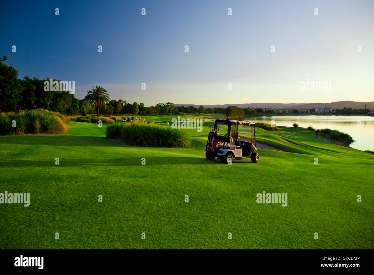 Golf Course and buggies Stock Photo Alamy