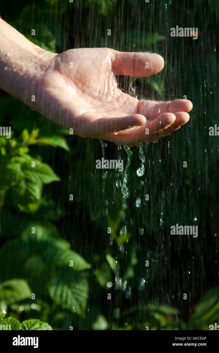 Hand in Handシリーズ Feeling in the Rain Hand in Handシリーズ