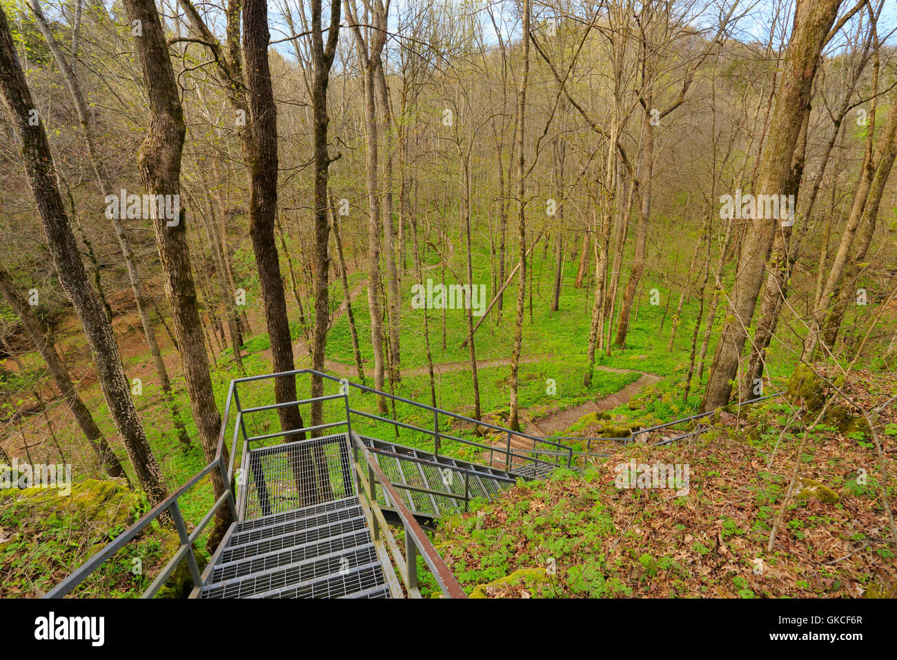 Cedar Sink Trail, Cedar Sink, Mammoth Cave National Park, Park City