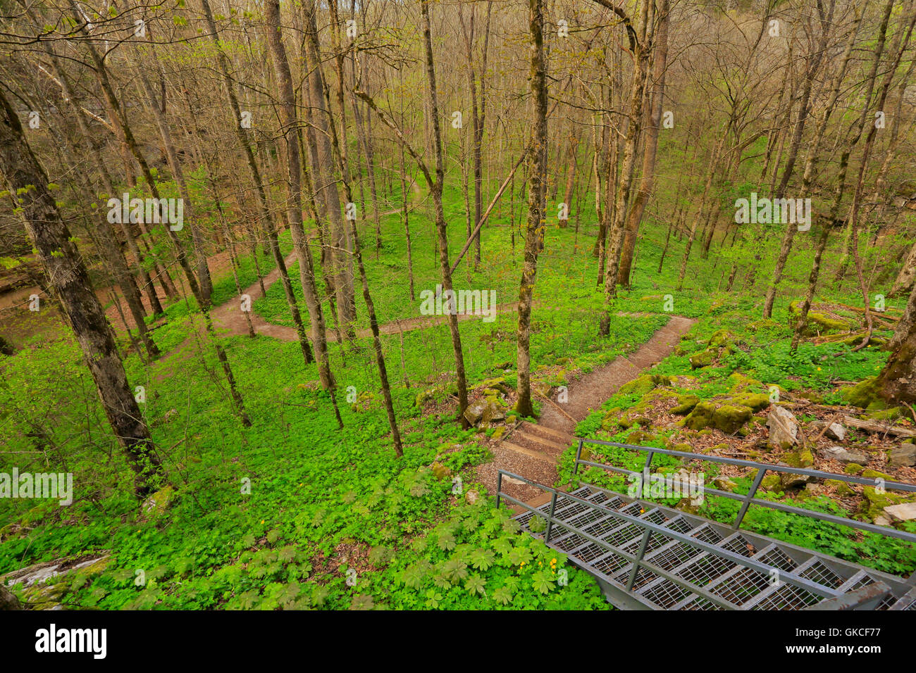 Cedar Sink Trail, Cedar Sink, Mammoth Cave National Park, Park City