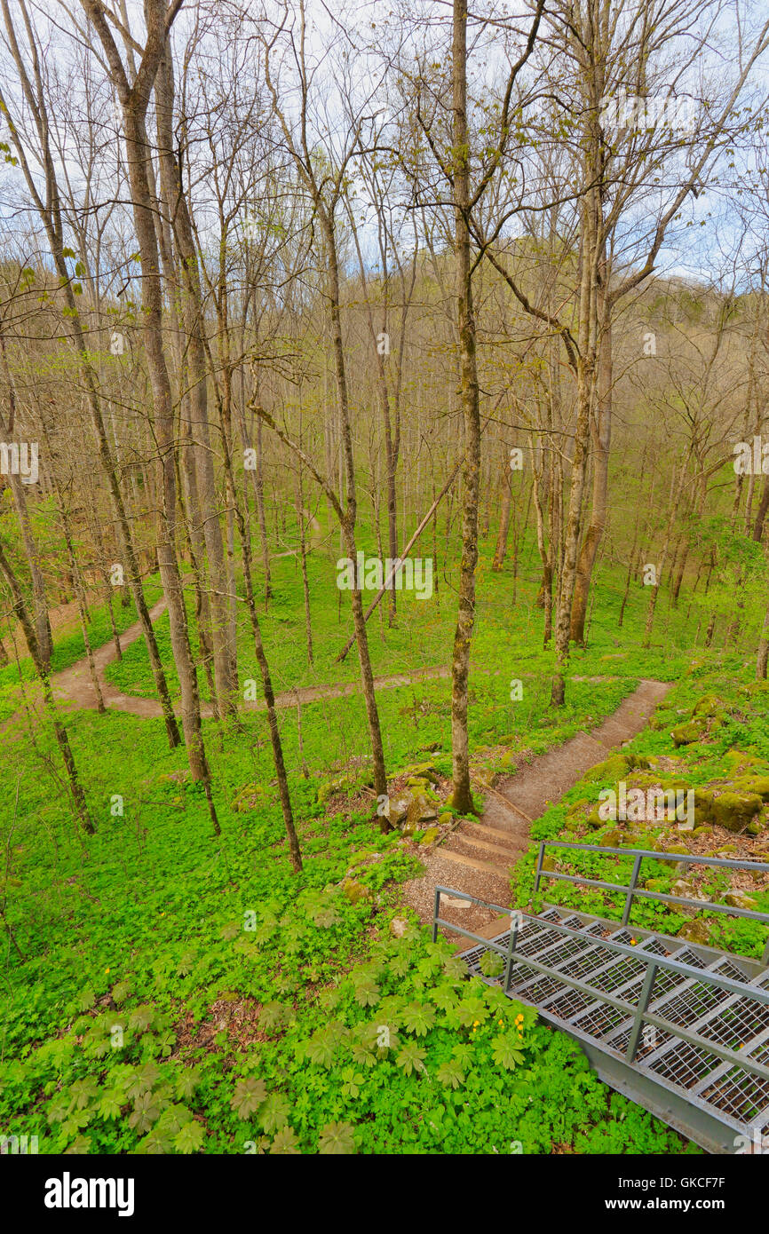 Cedar Sink Trail, Cedar Sink, Mammoth Cave National Park, Park City