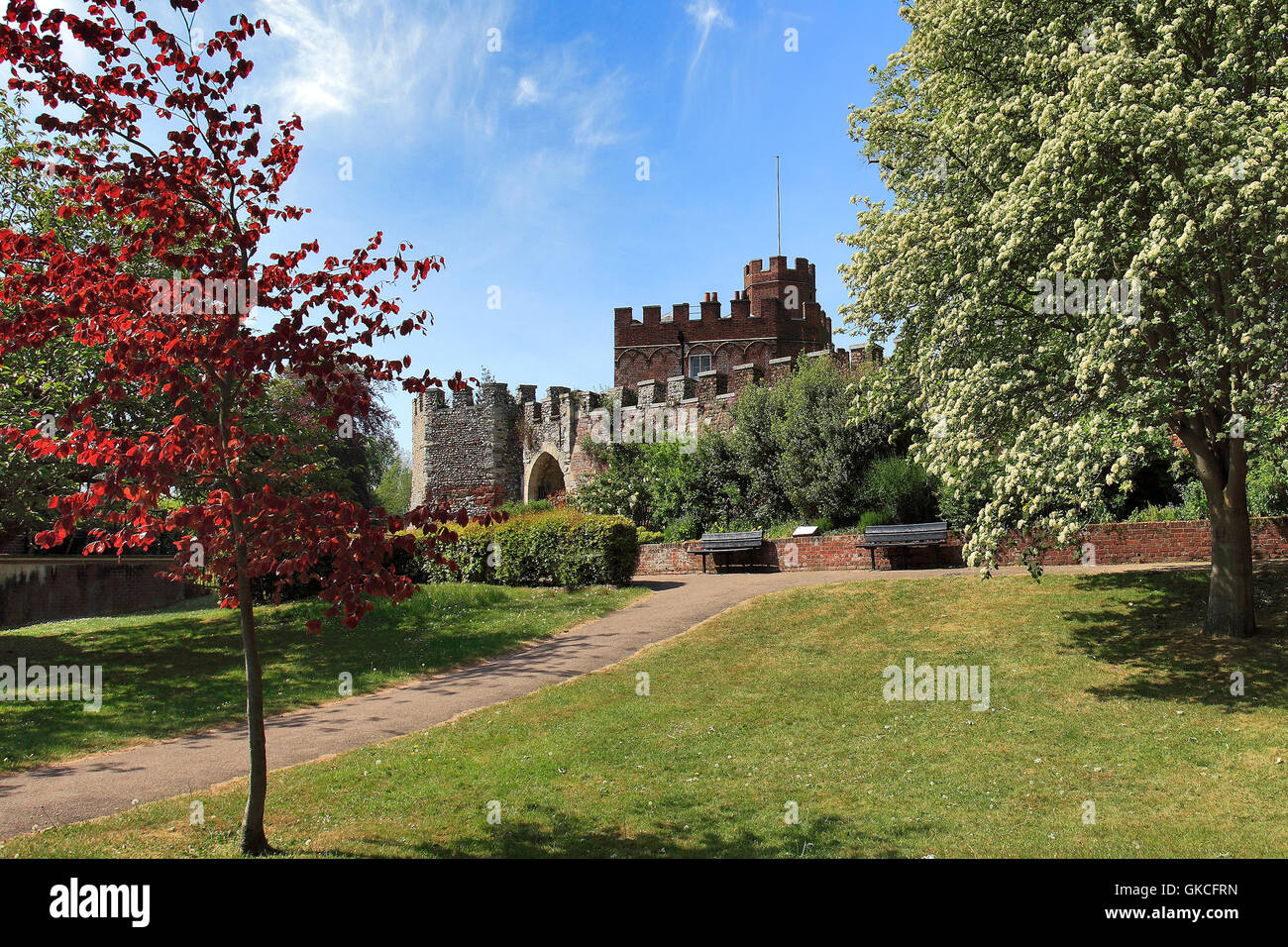 Summer, Castle Gardens, Hertford Castle, Hertford town, Hertfordshire County, England, UK Stock