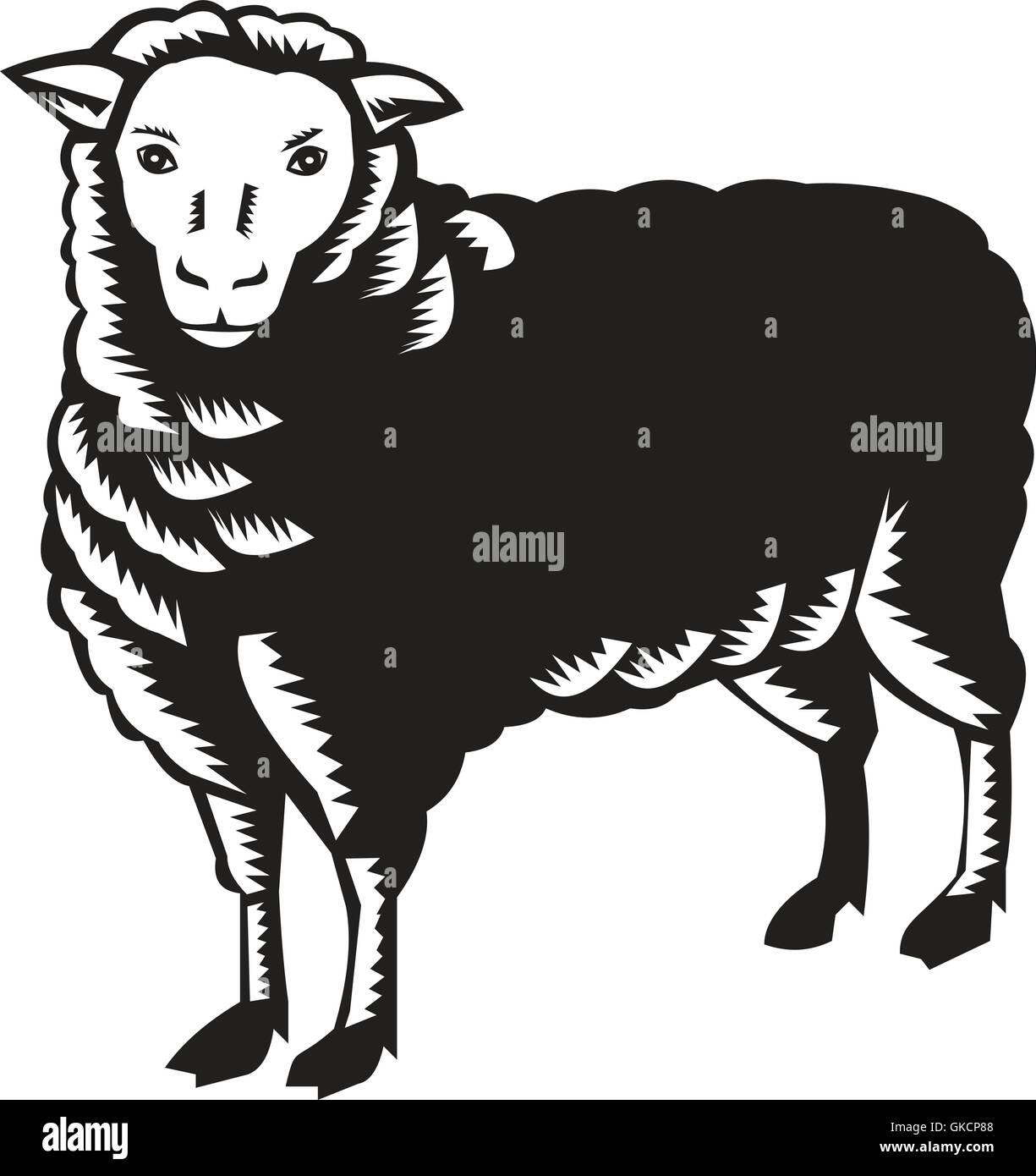 Sheep Side View Drawing