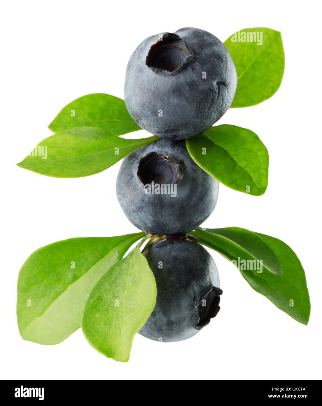 blueberries isolated on the white background. Stock Photo
