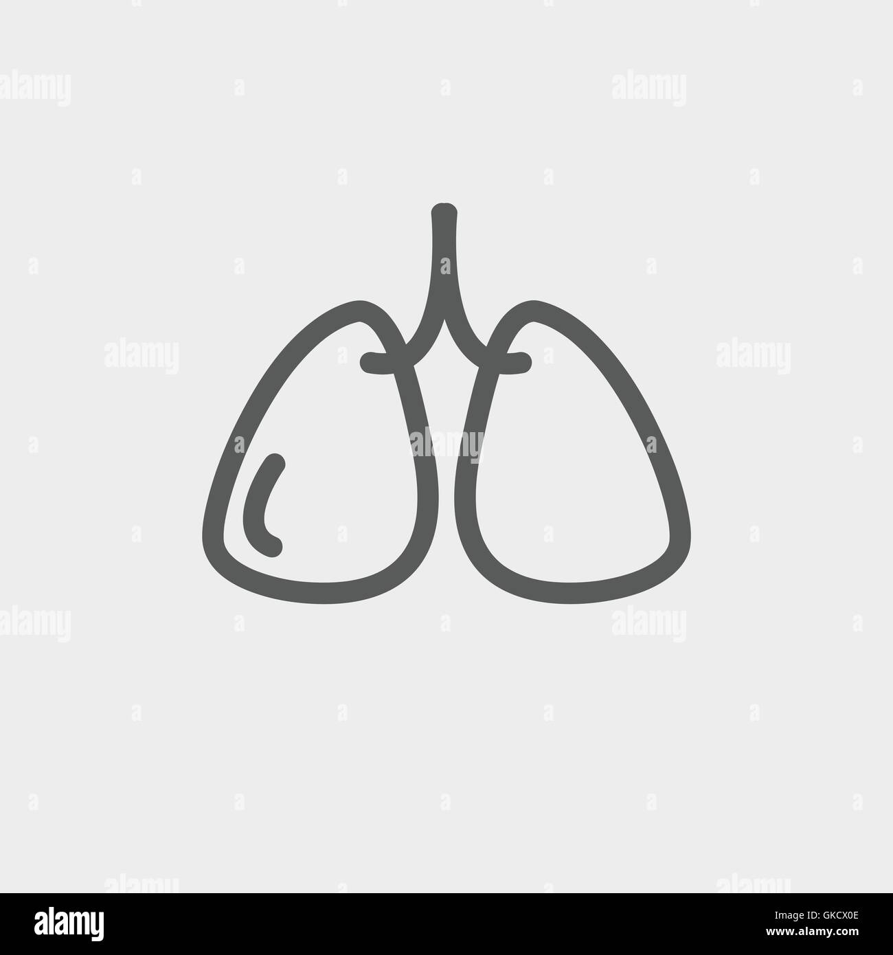 Lungs thin line icon Stock Vector