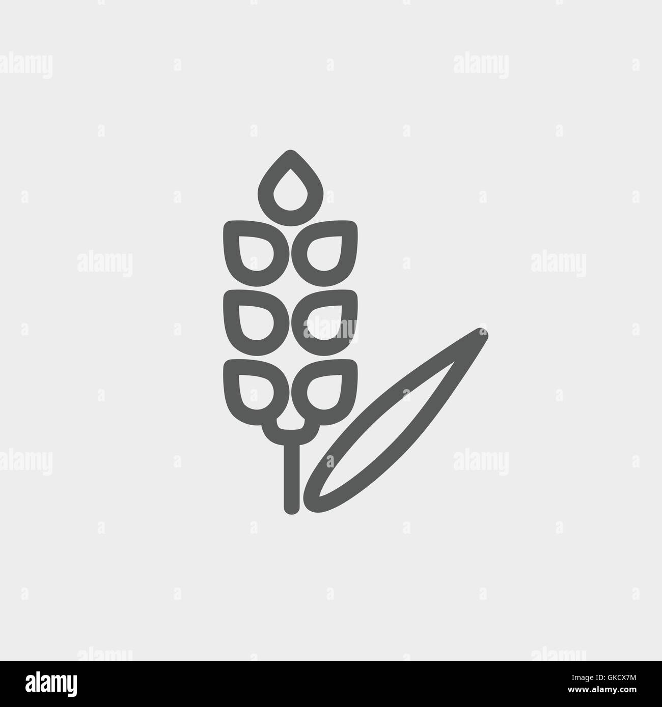 Beans thin line icon Stock Vector Image & Art - Alamy
