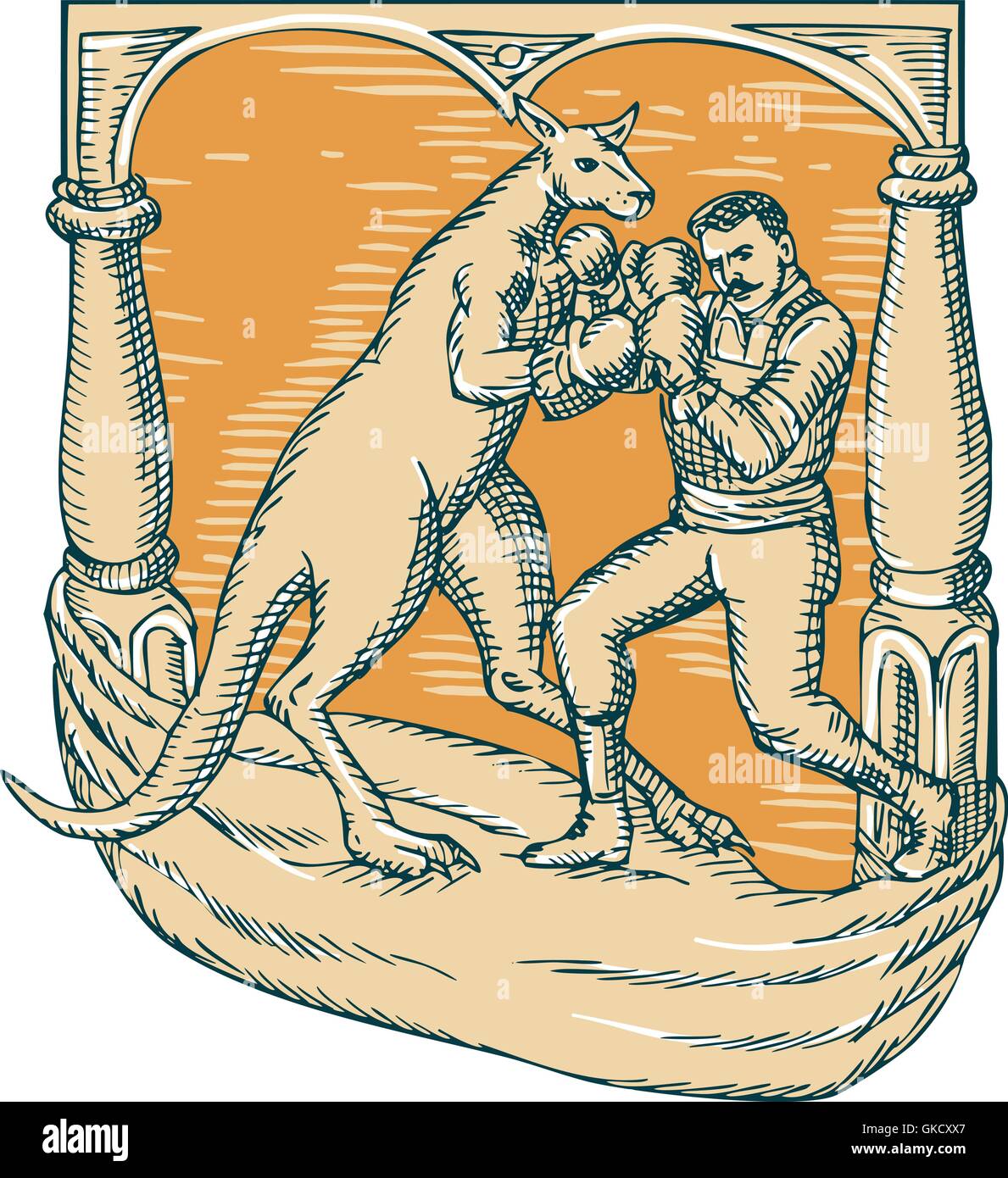 Kangaroo Boxing Man Etching Stock Vector