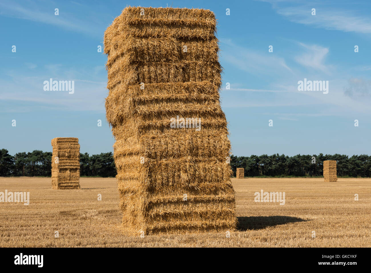 Large straw bale stacks, Shottisham, Suffolk, UK Stock Photo Alamy