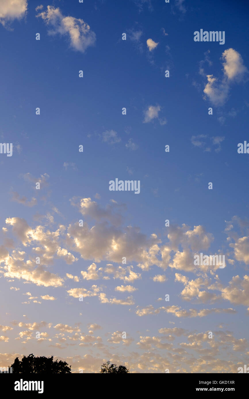 Altocumulus clouds of the stratocumiliform classification. July. Oklahoma, USA. Stock Photo