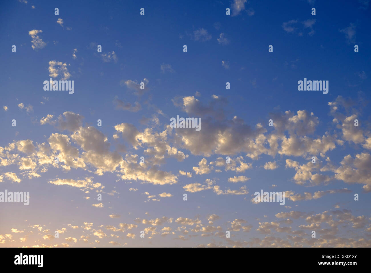 Altocumulus clouds of the stratocumiliform classification. July. Oklahoma, USA. Stock Photo