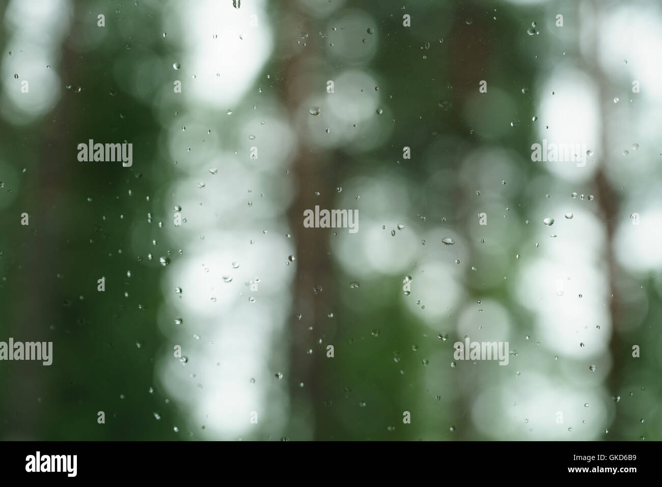 rain drops on window glass with nature background Stock Photo - Alamy