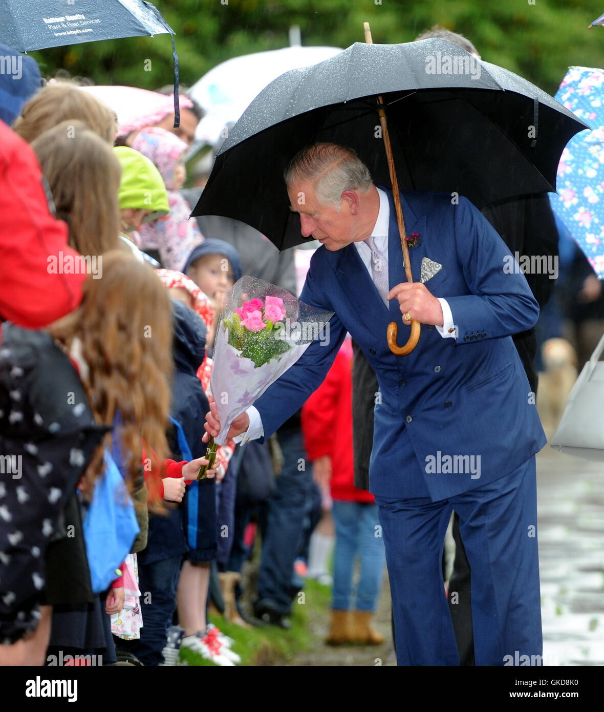 Caroline dale hires stock photography and images Alamy