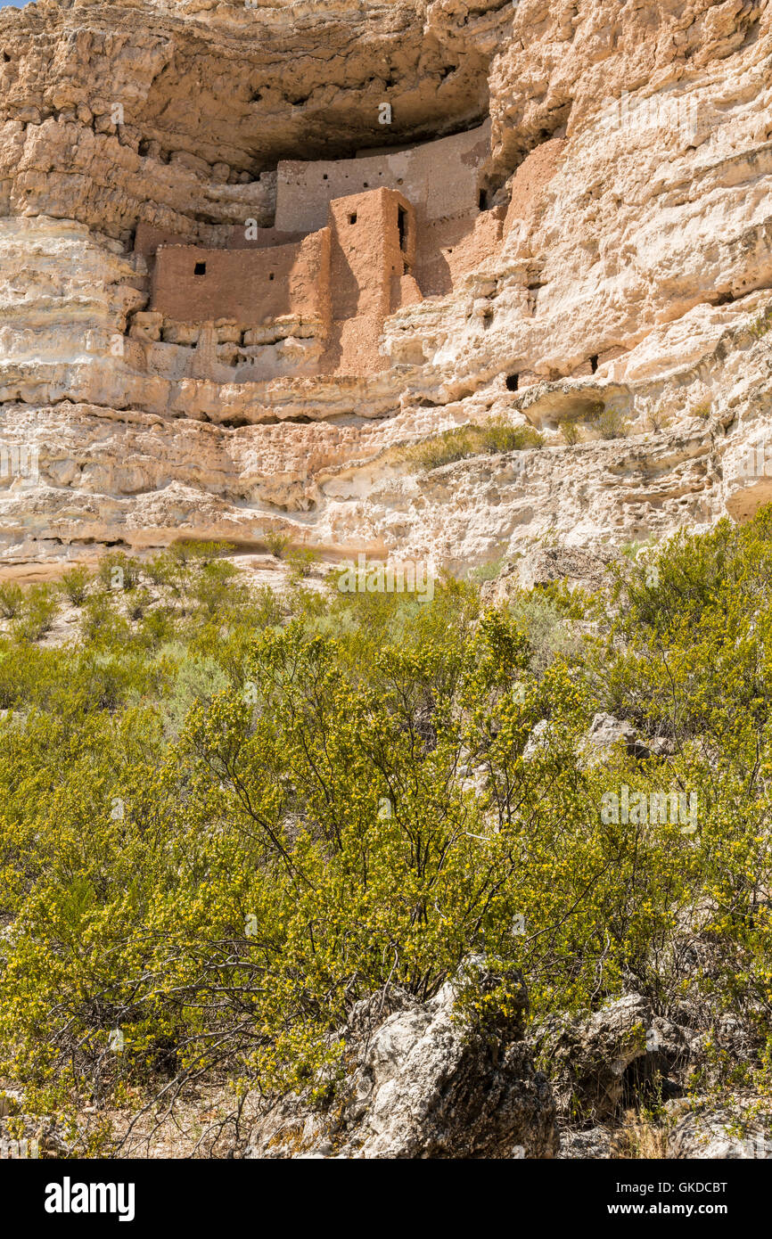 Yellow wildflowers below  the Native American cliff dwellings in Montezuma Castle National Monument, Arizona Stock Photo