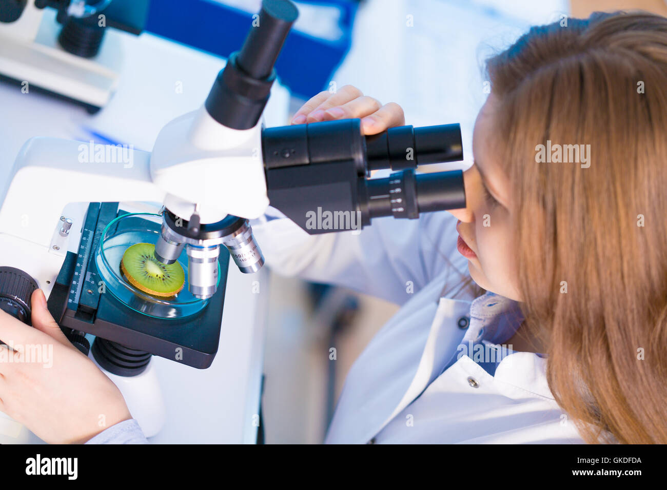 Research kiwi microbiological laboratory Stock Photo
