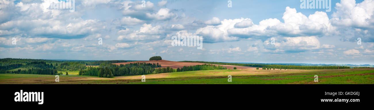 Panorama of agricultural field Stock Photo