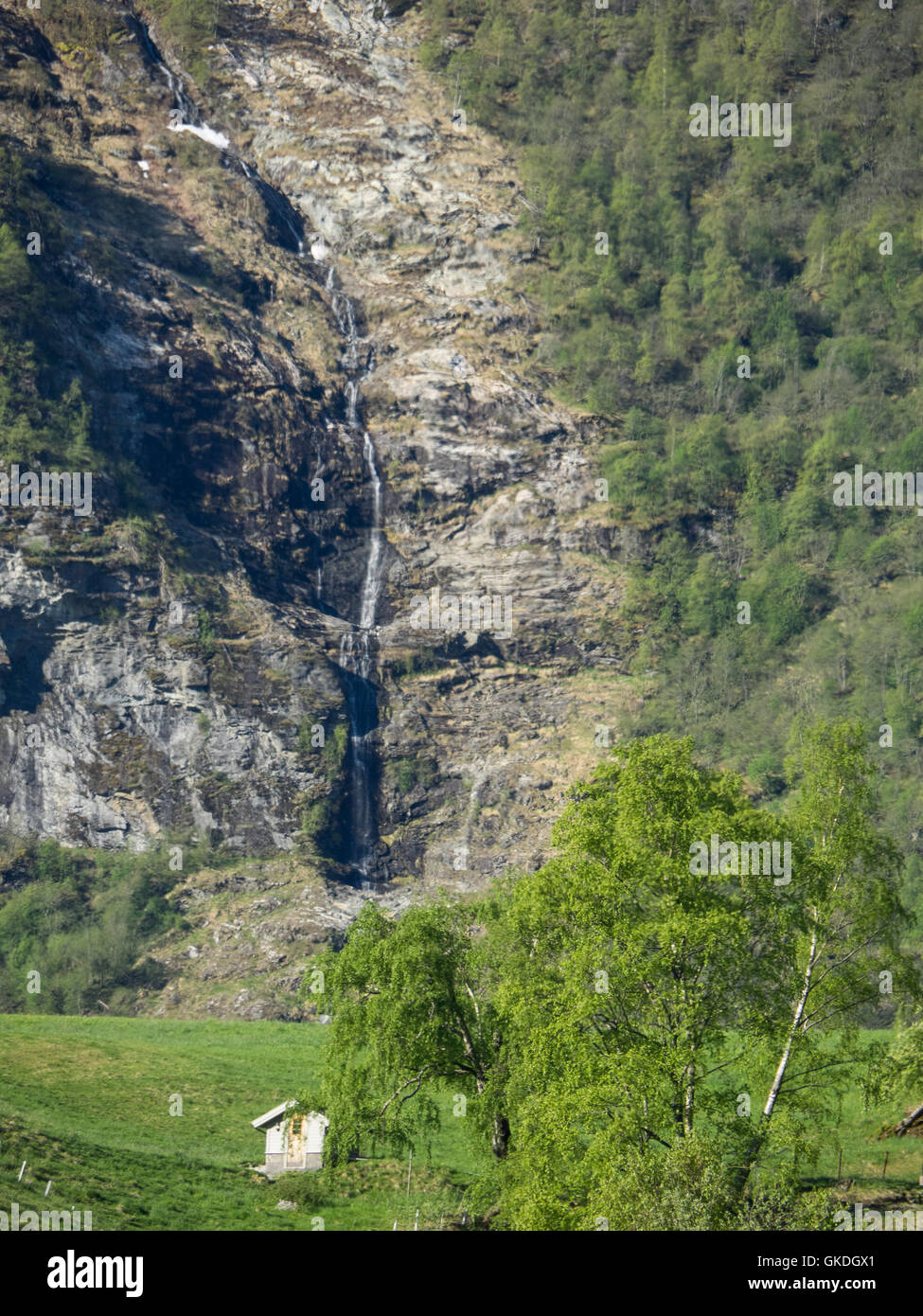 Spring in norway Stock Photo - Alamy
