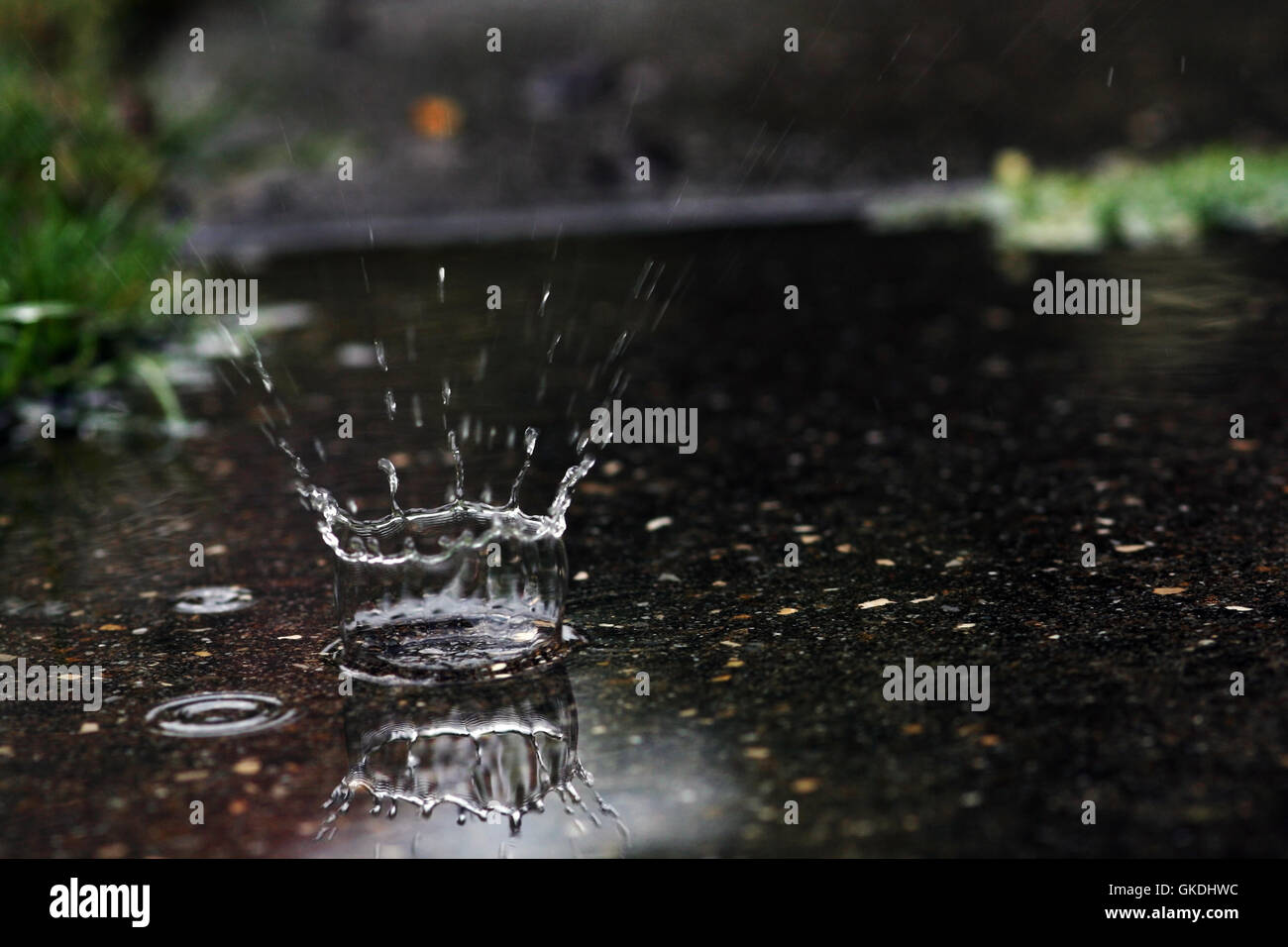 the large raindrops Stock Photo